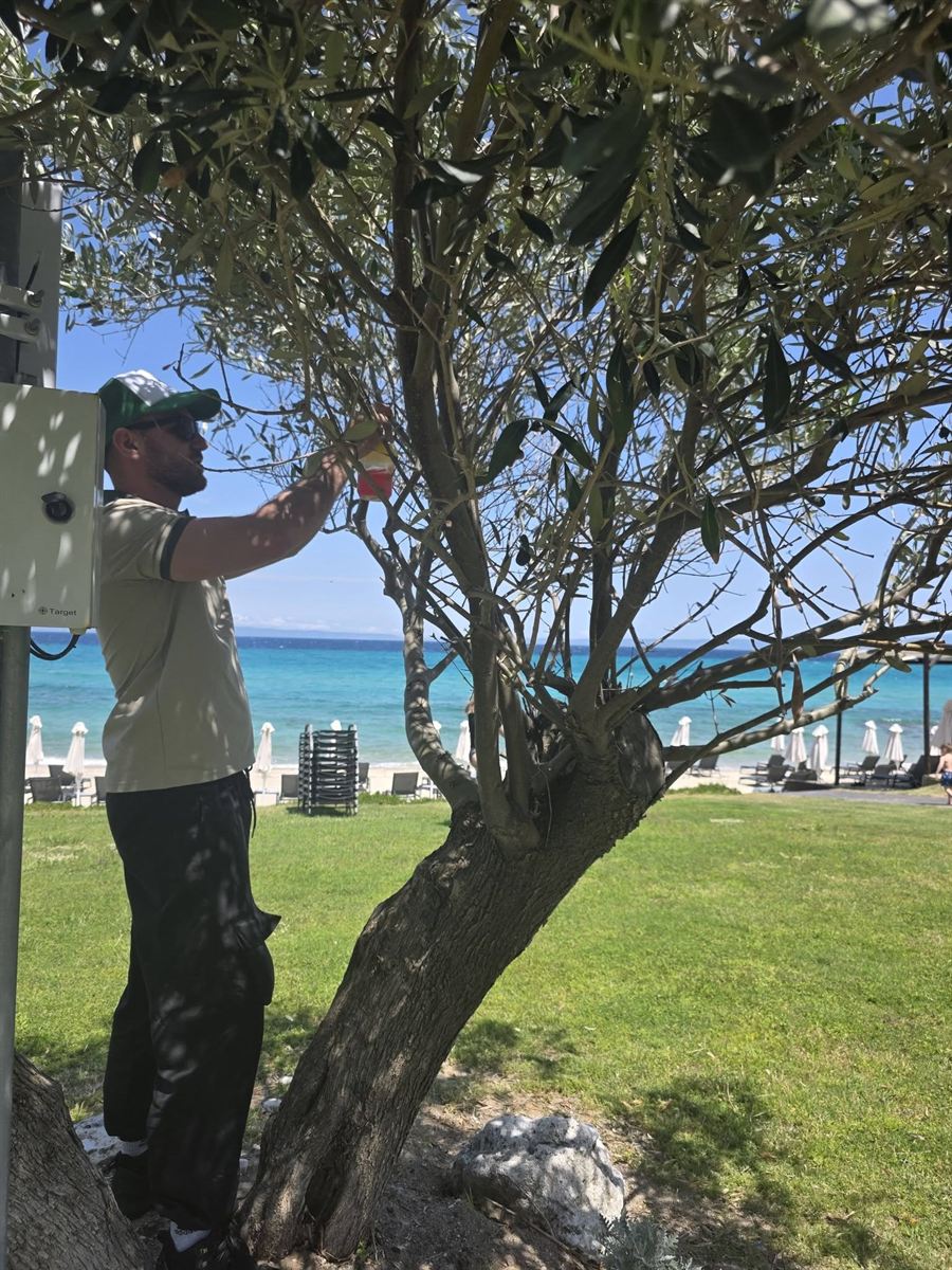 Επιθεώρηση ραφιών και αρμών από τεχνικό της GREENSHIELD πριν την εφαρμογή